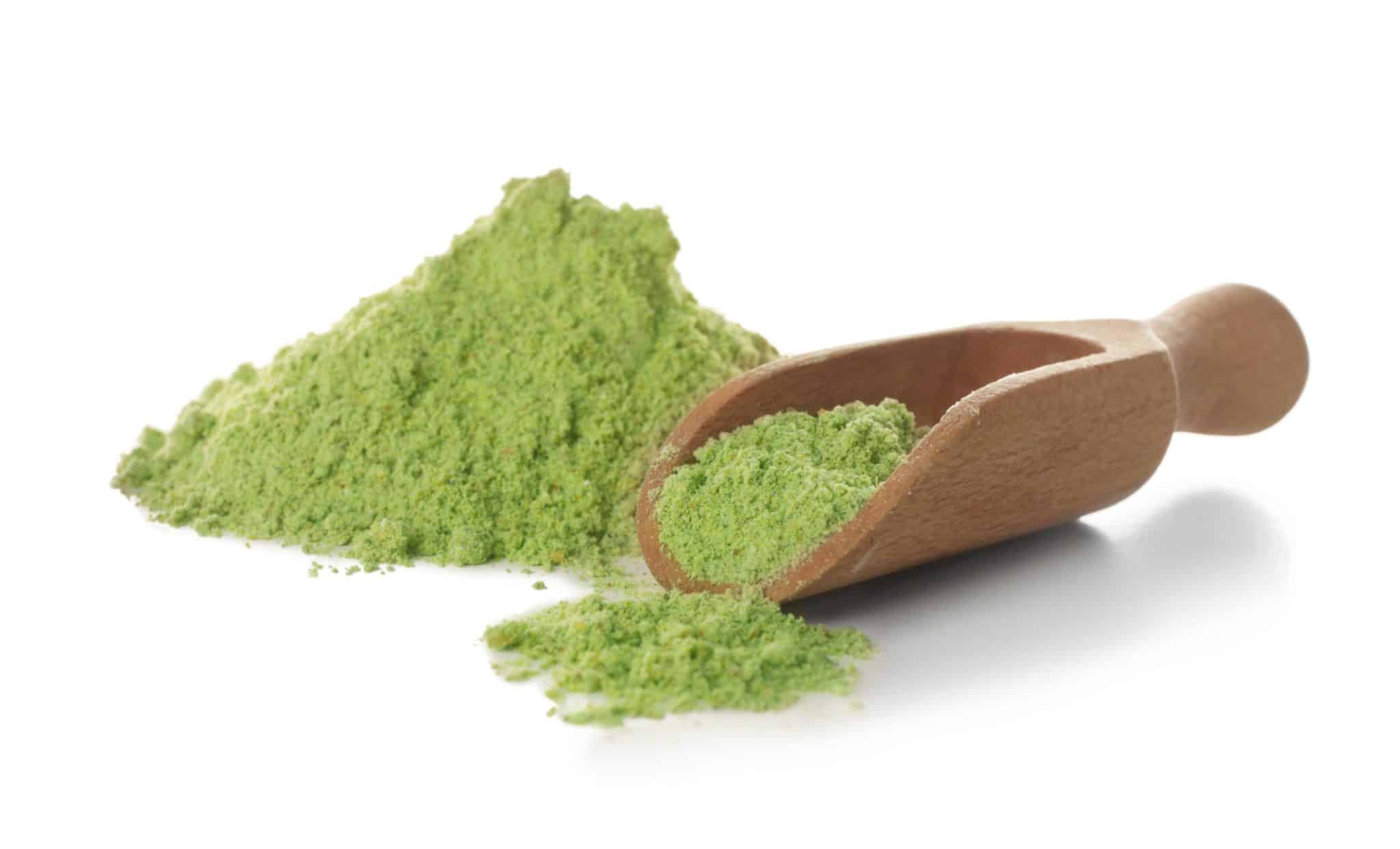Wheat grass powder and wooden scoop on white background