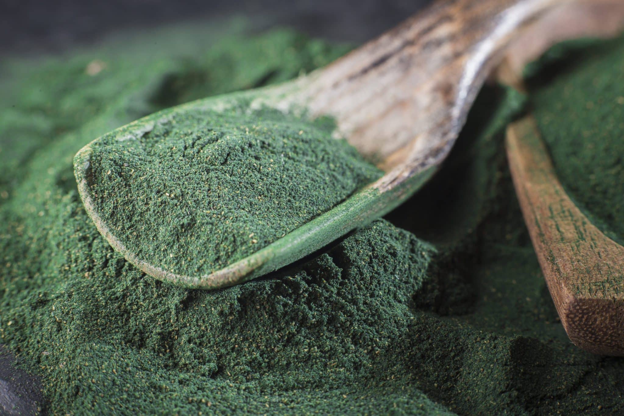 powder, tablets and infusion of spirulina